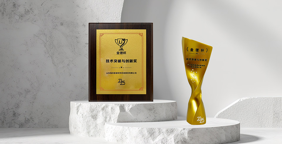 喜报 | 星空网官方站入口-星空online(中国)荣获真锂研究“技术突破与创新奖”